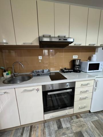 Apartments Paradise Licko Petrovo Selo エクステリア 写真