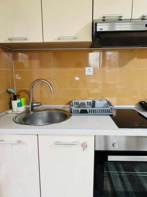 Apartments Paradise Licko Petrovo Selo エクステリア 写真