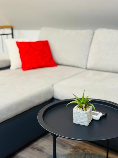 Apartments Paradise Licko Petrovo Selo エクステリア 写真